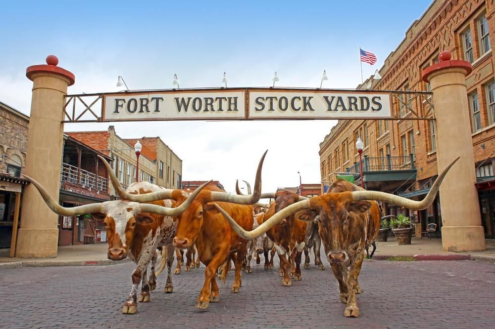 Scottish Inns Fort Worth Esterno foto